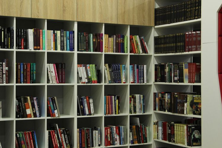 Модельная библиотека – современный взгляд на чтение