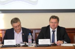 Депутаты заслушали результаты проверок, проведенных контрольно-счетной палатой города Новосибирска