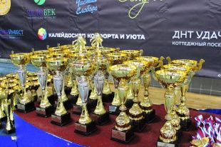II открытый турнир по вольной борьбе имени В.М. Тонких