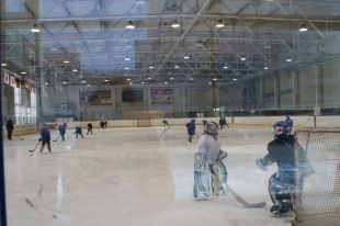 Как развивать хоккей и фигурное катание в Новосибирске?