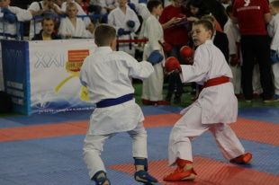 Депутаты и спорт: XXI «Кубок Успеха» по каратэ