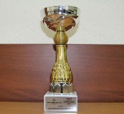 Совет депутатов города Новосибирска – в числе лучших на конкурсе «Пресс-служба года»