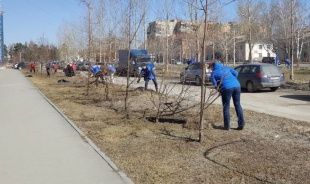 День чистоты в Заельцовском районе